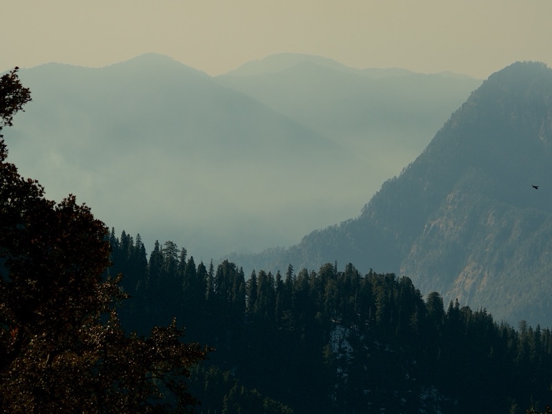 Misty mountain layers with a bird silhouette against soft light